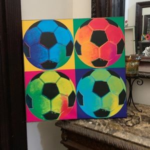 25’ by 25’ soccer canvas